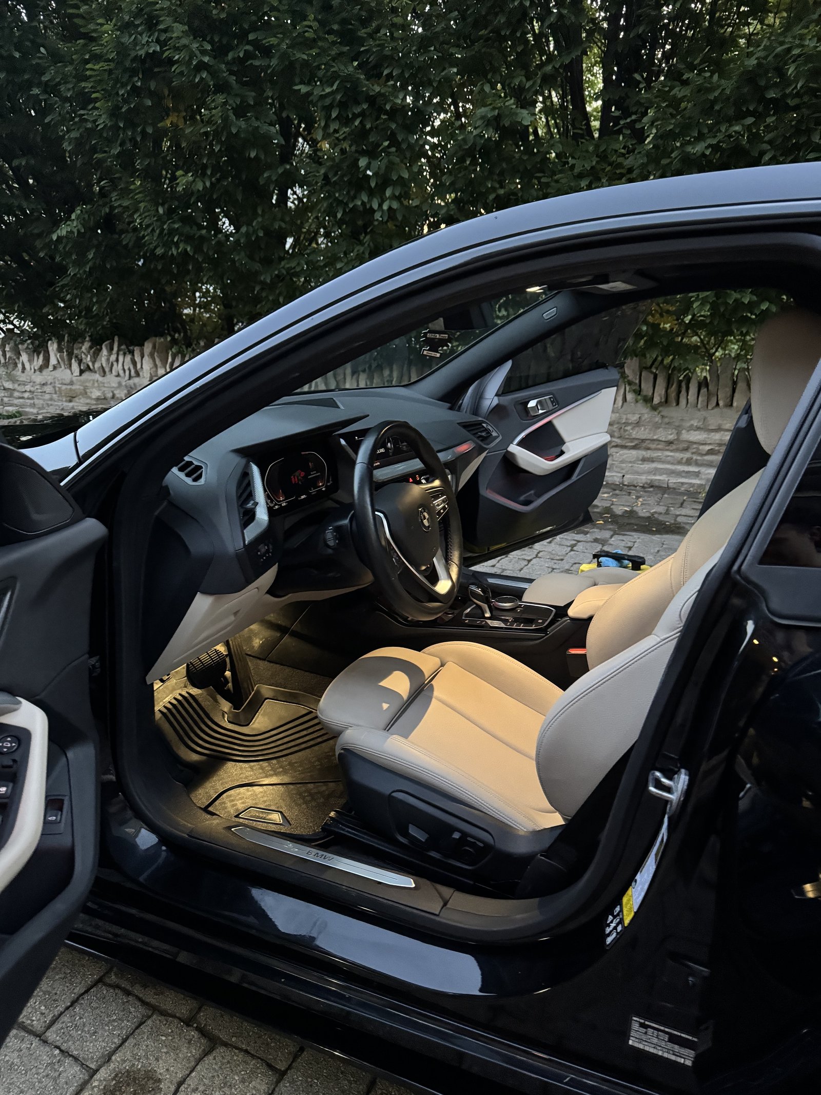 BMW 2 Series interior after a detail